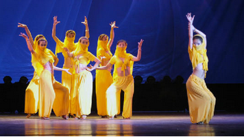 �Ϻ���Ƥ����Ӗ(x��n)